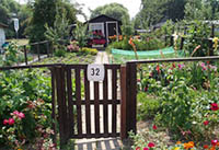 Image Image