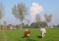 Image Image