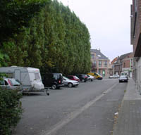 Image Image