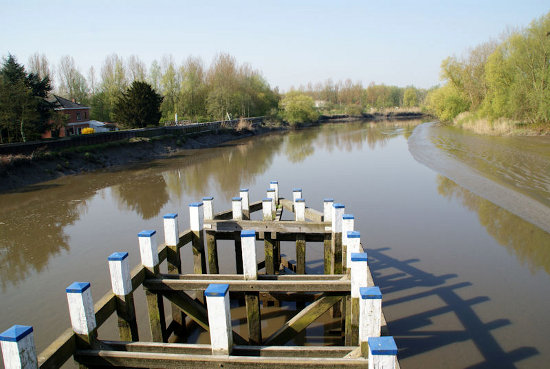 Image Image