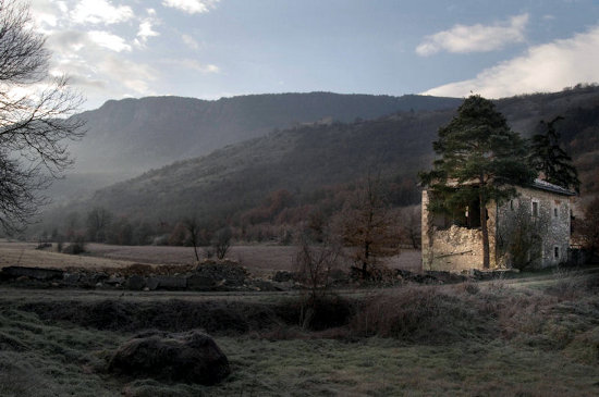 Image Image