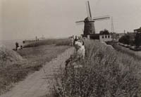 Image Image