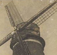 Image Image