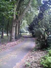 Image Image