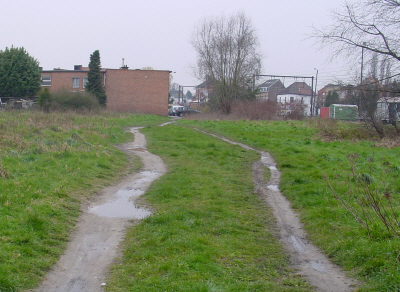 Image Image