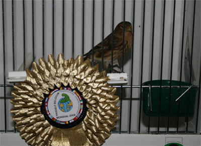 Image Image