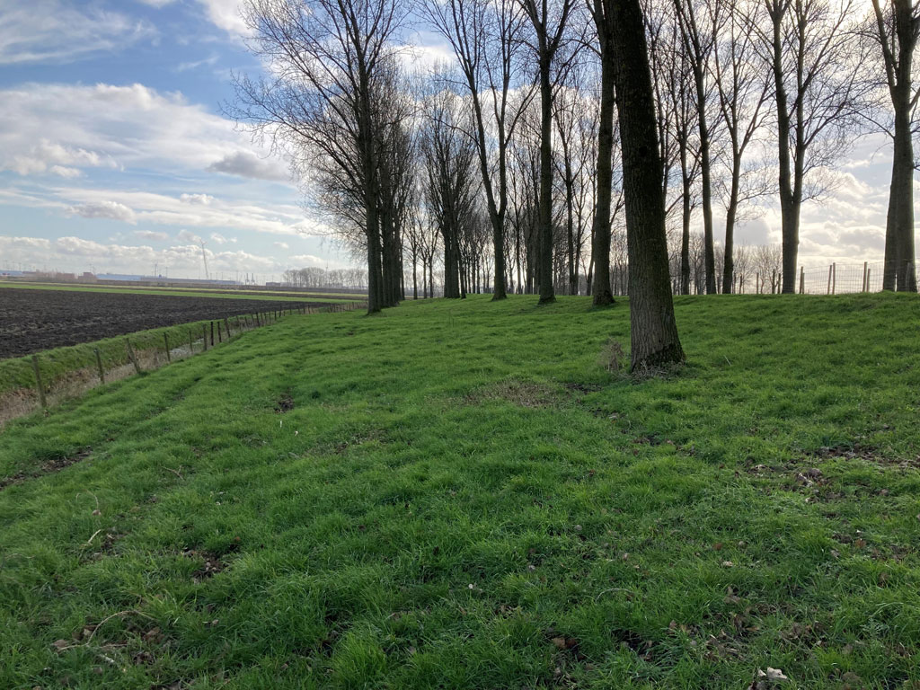 foto: © Gemeente Beveren