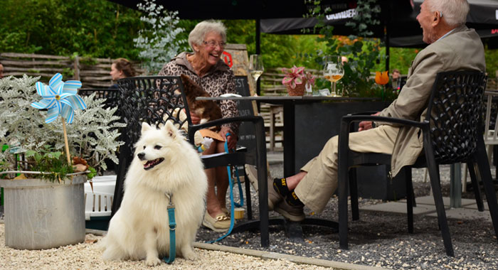 foto: © Helena Rothheut