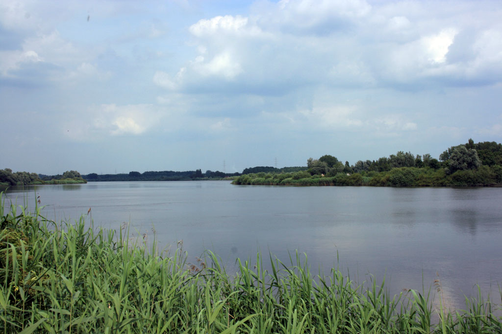 de Schelde nabij Hamme